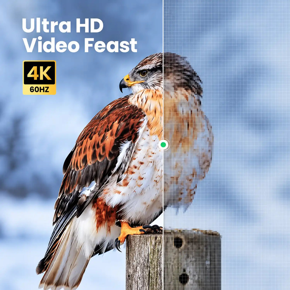 Ultra HD 4K 60Hz Video Clarity and High-Resolution Detail Comparison on UGREEN HD127 Micro HDMI Cable -tpstech.in