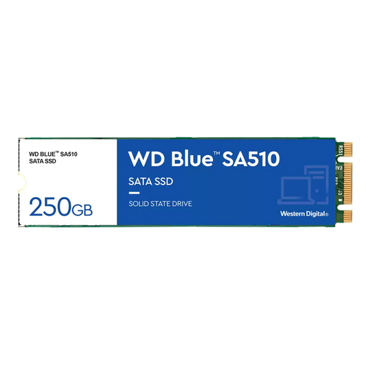 Western Digital WD Blue 250GB M.2 SATA III Internal Solid State Drive