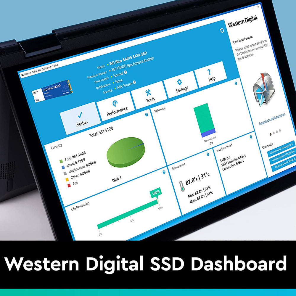वेस्टर्न डिजिटल ब्लू SA510 250GB 2.5-इंच SATA III इंटरनल SSD