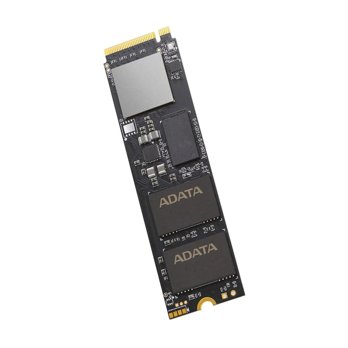 Vertical view of the bare PCB and memory components of XPG GAMMIX S60 512GB PCIe Gen4 M.2 SSD -tpstech.in