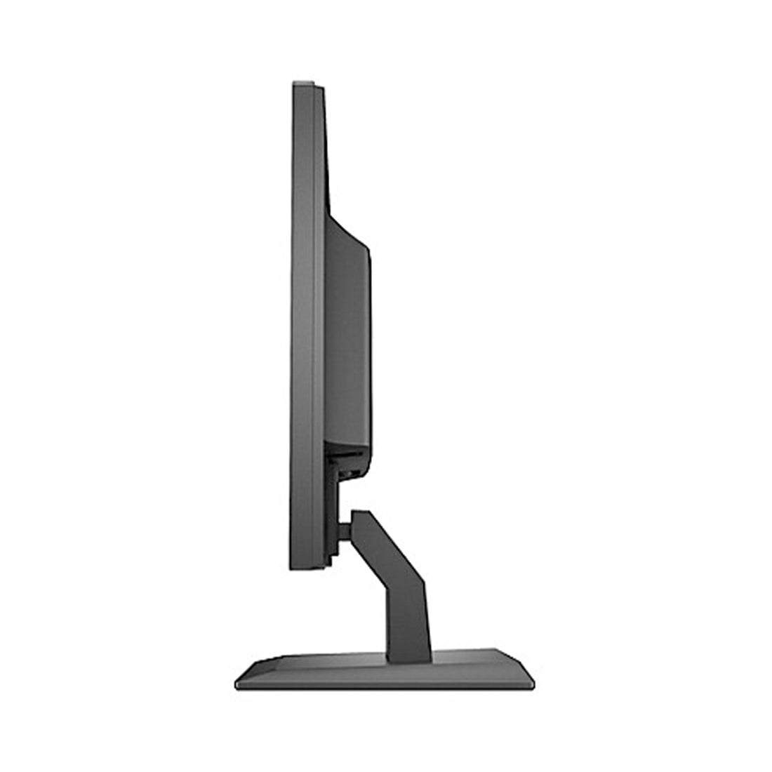 HP P204v 19.5 Inch HD Plus LED Anti-Glare Adjustable Computer Monitor with Vesa Mount Support