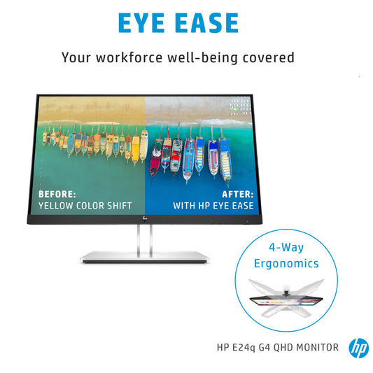 HP E24q G4 24-inch Quad-HD IPS Monitor with Flicker-Free and USB 3.2