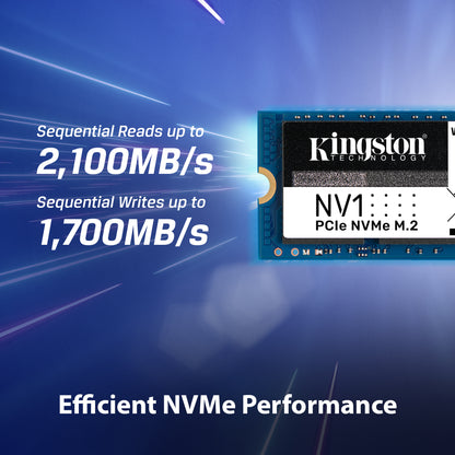 किंग्स्टन NV1 सीरीज 2TB NVMe PCIe 3.0 M.2 इंटरनल सॉलिड स्टेट ड्राइव