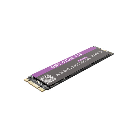 Orico N310 Raptor Series 960GB M.2 NGFF 2280 Internal Solid State Drive