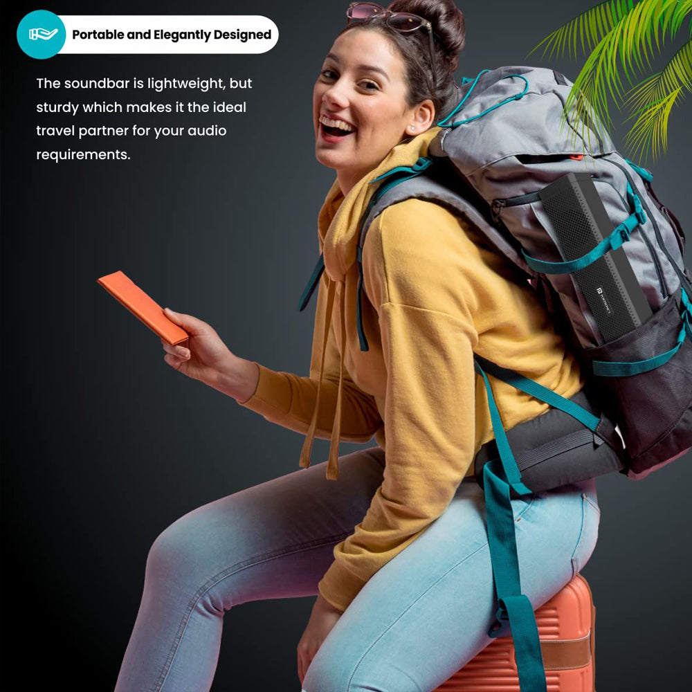 Portronics In Tune 2 6W Portable Wired USB Speaker with Dual Connectivity