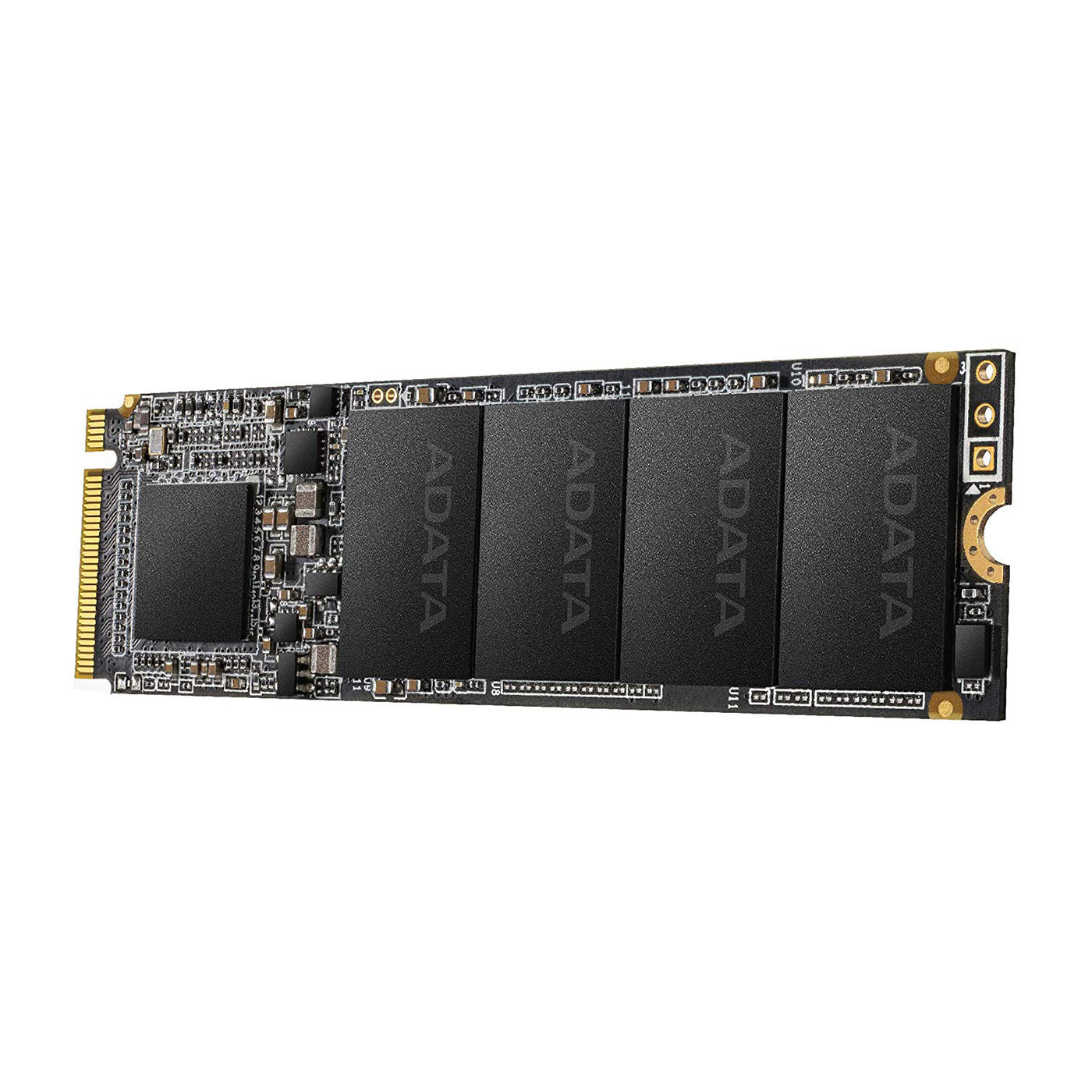 XPG SX6000 1TB M.2 Solid State Drive