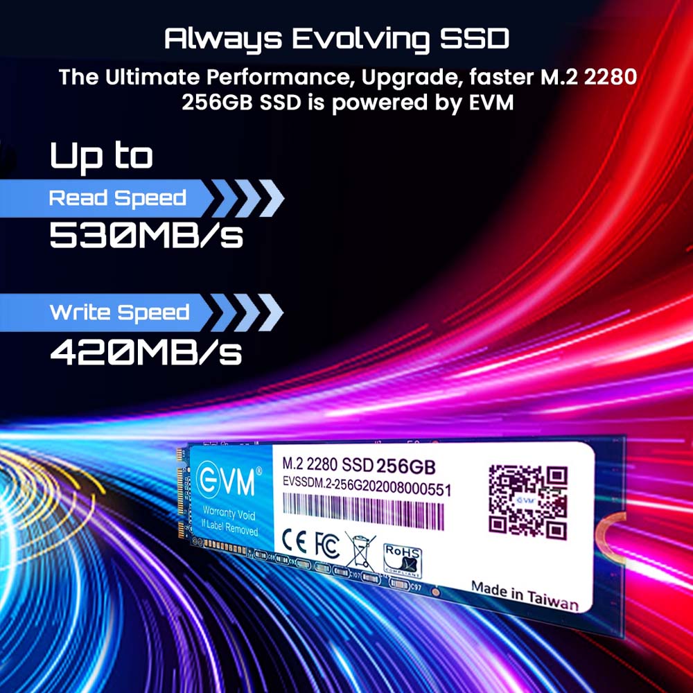 EVM 256GB M.2 SATA 3D NAND Internal SSD