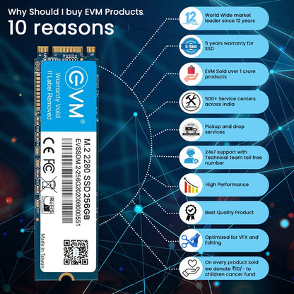 EVM 256GB M.2 SATA 3D NAND Internal SSD