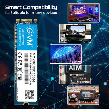 EVM 256GB M.2 SATA 3D NAND Internal SSD